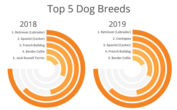 Top 5 Dog Breeds 2018 to 2019