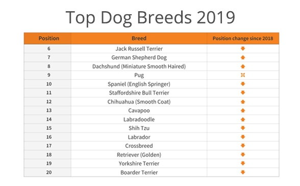 Top Dog Breeds 2019