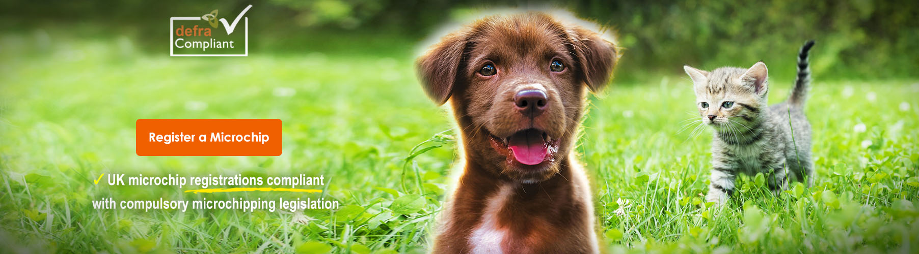 puppy microchip registration