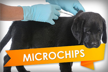 UK Pet Microchip Registration Database | Microchip Central ...