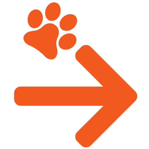 Pet Transfer