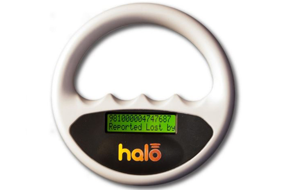 Lost dog chip sales scan