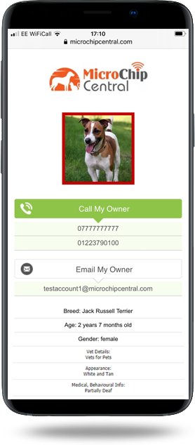 3. Someone Finds Your Pet