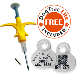 Mini Microchip in Syringe